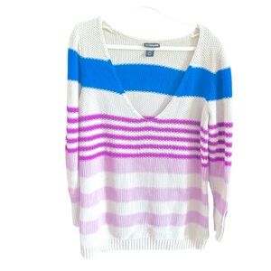 Lane Bryant Blue Plum Lavendar Taupe Stripe V-Neck Sweater Size 18/20W